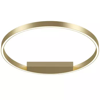 Накладной светильник Maytoni MOD058CL-L35BSK