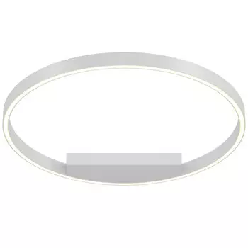 Накладной светильник Maytoni MOD058CL-L35WK