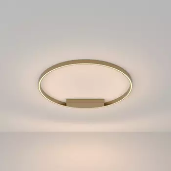 Накладной светильник Maytoni MOD058CL-L50BS3K