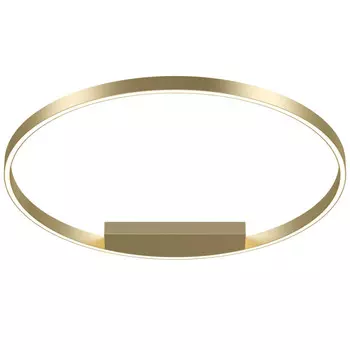 Накладной светильник Maytoni MOD058CL-L50BS4K