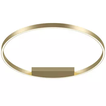 Накладной светильник Maytoni MOD058CL-L50BSK