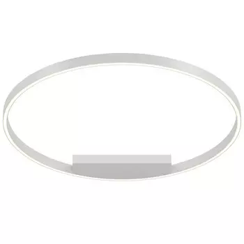 Накладной светильник Maytoni MOD058CL-L50WK