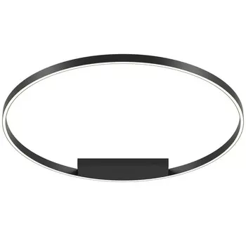 Накладной светильник Maytoni MOD058CL-L65BK