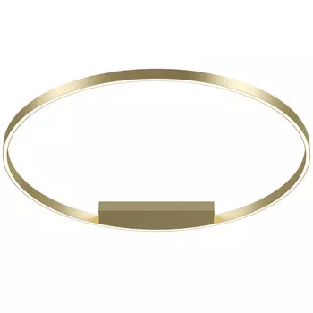 Накладной светильник Maytoni MOD058CL-L65BS3K