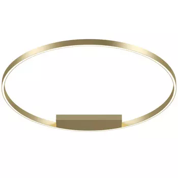 Накладной светильник Maytoni MOD058CL-L65BSK