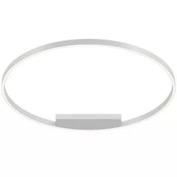 Накладной светильник Maytoni MOD058CL-L65W3K