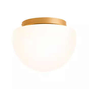 Накладной светильник Maytoni MOD270CL-01G