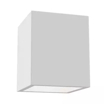 Накладной светильник Maytoni Technical C002CW-01W