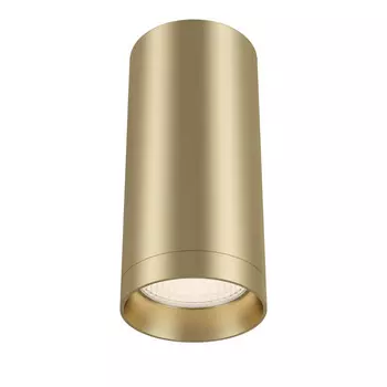 Накладной светильник Maytoni Technical C010CL-01MG