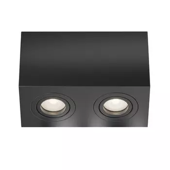 Накладной светильник Maytoni Technical C017CL-02B