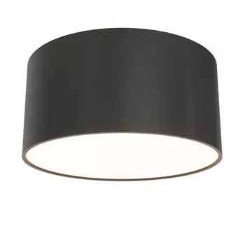 Накладной светильник Maytoni Technical C032CL-12W3K-RD-B