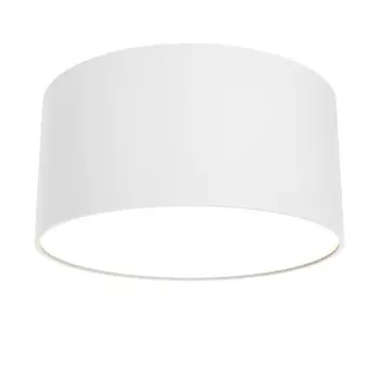 Накладной светильник Maytoni Technical C032CL-12W3K-RD-W