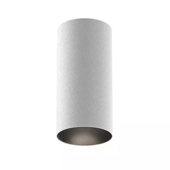 Накладной светильник Maytoni Technical C080CL-01-GU10-W