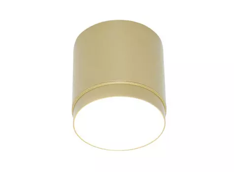 Накладной светильник Maytoni Technical C088CL-GX53-MG