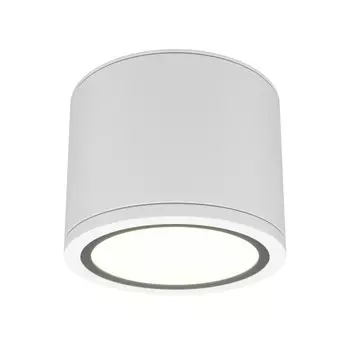 Накладной светильник Maytoni Technical C095CL-GX53-W