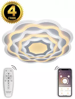 Накладной светильник Natali Kovaltseva 81039/5C