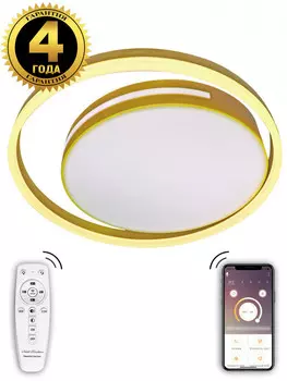 Накладной светильник Natali Kovaltseva LED LAMPS 81304