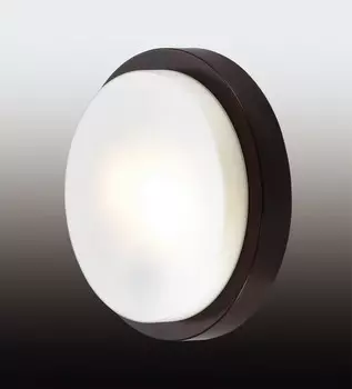 Накладной светильник Odeon Light 2744/2C