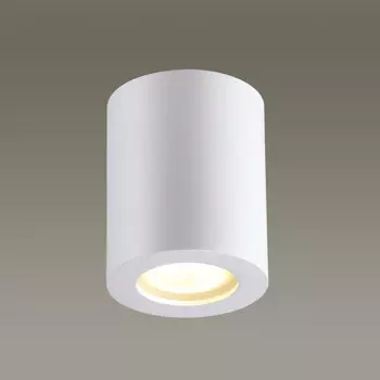 Влагозащищенный светильник Odeon Light 3571/1C