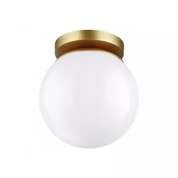 Накладной светильник Odeon Light 4247/1C