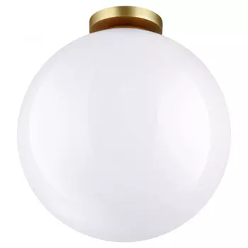Накладной светильник Odeon Light 4250/1C