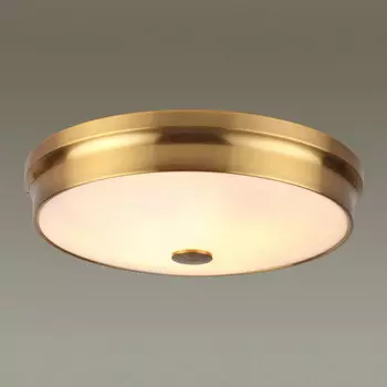 Накладной светильник Odeon Light 4824/4C