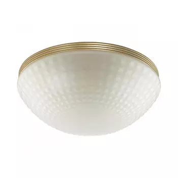 Накладной светильник Odeon Light 4936/3C