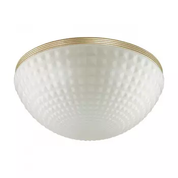 Накладной светильник Odeon Light 4936/4C