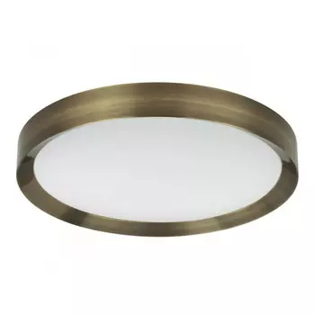 Накладной светильник Odeon Light 4948/60CL