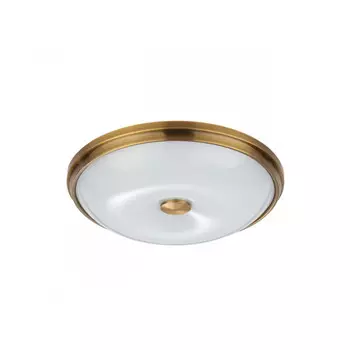 Накладной светильник Odeon Light 4956/4