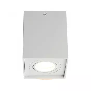 Накладной светильник Omnilux OML-101109-01