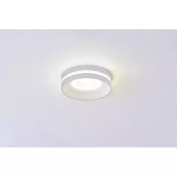 Накладной светильник Omnilux OML-102709-06