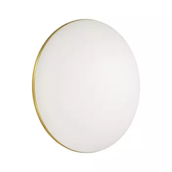 Накладной светильник Sonex 3043/DL