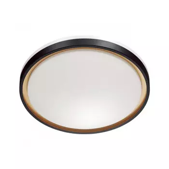 Накладной светильник Sonex 3045/DL