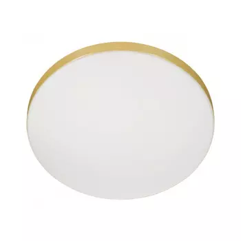 Накладной светильник Sonex 3066/AL