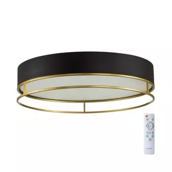 Накладной светильник Sonex 7723/100L