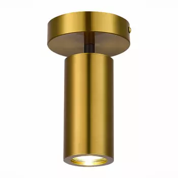 Накладной светильник ST-Luce SL1215.402.01