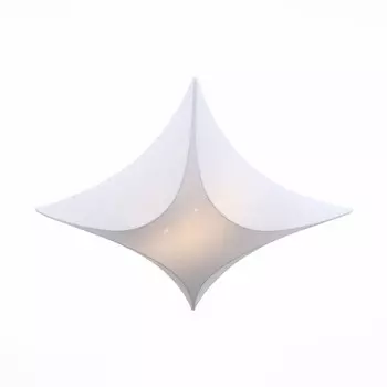 Накладной светильник ST-Luce SL360.512.04