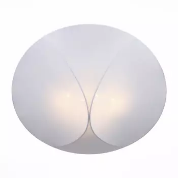 Накладной светильник ST-Luce SL360.552.04