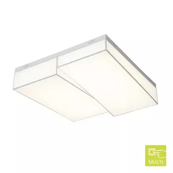 Накладной светильник ST-Luce SL416.502.02