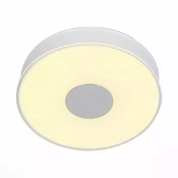 Накладной светильник ST-Luce SL473.052.01D