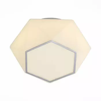 Накладной светильник ST-Luce SL558.502.01