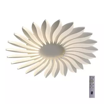 Накладной светильник ST-Luce SL836.502.24