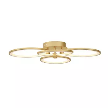 Накладной светильник ST-Luce SL867.302.04