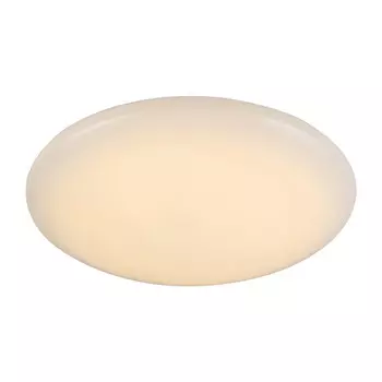 Накладной светильник ST-Luce SL875.062.01