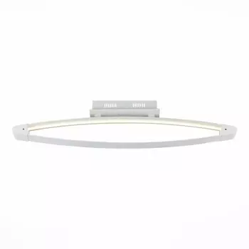 Накладной светильник ST-Luce SL920.102.01