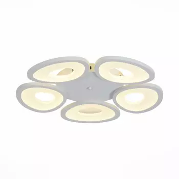 Накладной светильник ST-Luce SL929.502.05