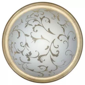 Накладной светильник TOPLIGHT TL1126-1Y