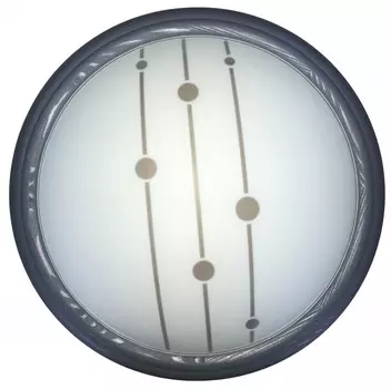 Накладной светильник TOPLIGHT TL1127-1Y