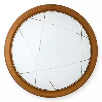 Накладной светильник TOPLIGHT TL9013Y-02OA